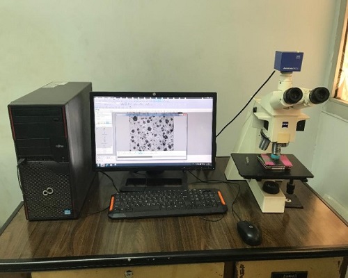 Optical microscope